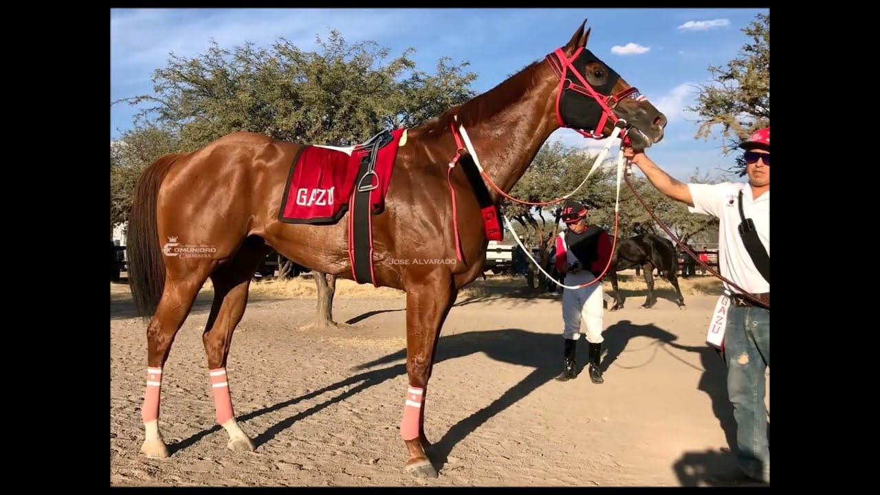 El Gudy - El Chuny Gonzalez