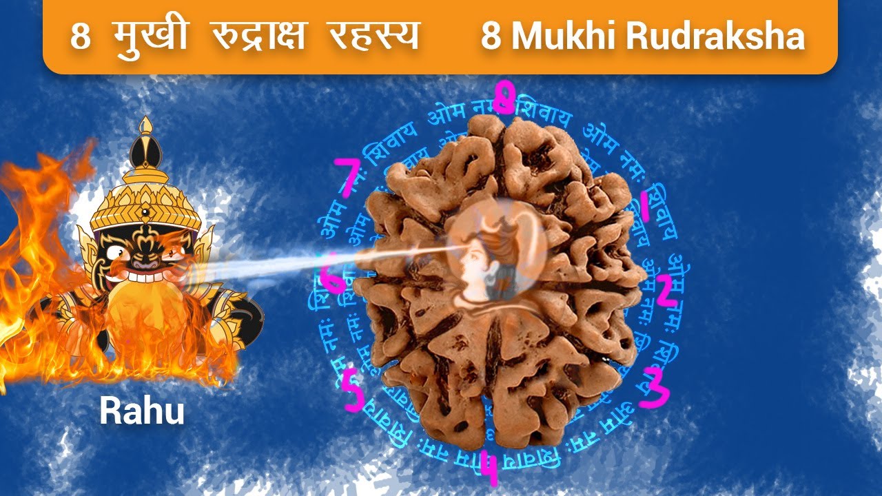 8 मुखी रुद्राक्ष के फायदे | Original 8 Mukhi Nepali Rudraksha benefits