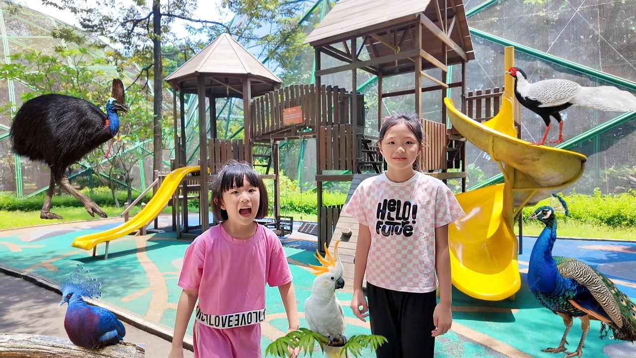 Main Playground dan Ke Taman Burung Ketemu Burung Kasuari, Merak, Kakatua TMII
