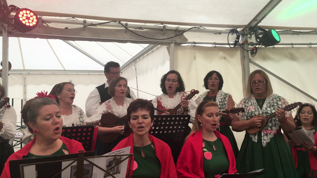 750 Jahre Baumgarten - Tamburica Pajngrt _ Festmesse