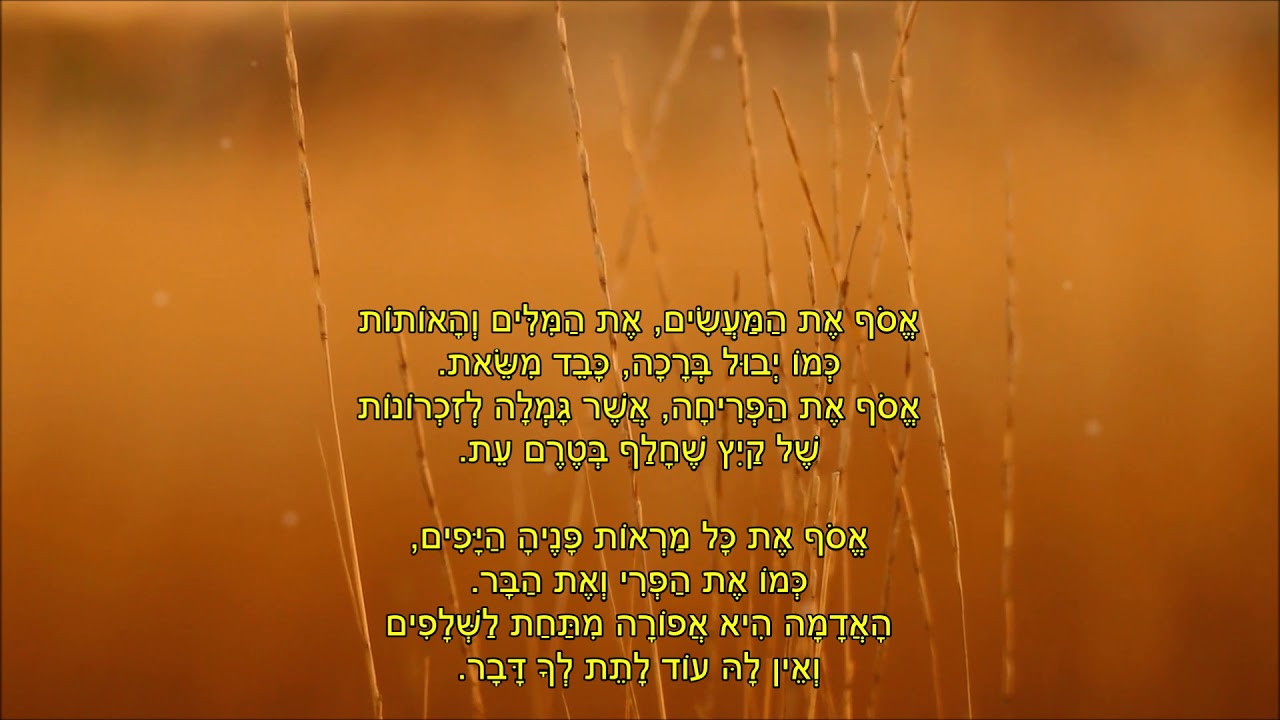 שיר עד - אסיף - מילים: איתמר פרת | לחן: נעמי שמר | שירה: מיכל טל, 1994 - Michal Tal