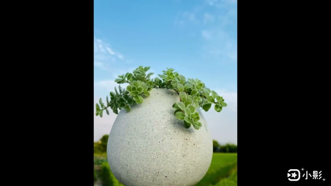 水泥花器DIY~利用廢棄絲襪做水泥花器，省錢又好看。