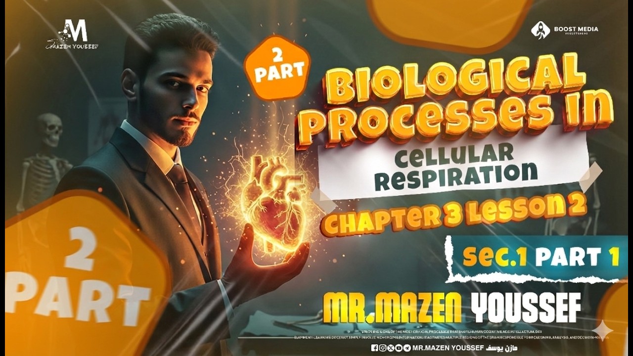 Sec1 Chapter3 lesson2 part2 biological processes, Cellular respiration 2026  اولي ثانوي الترم التاني