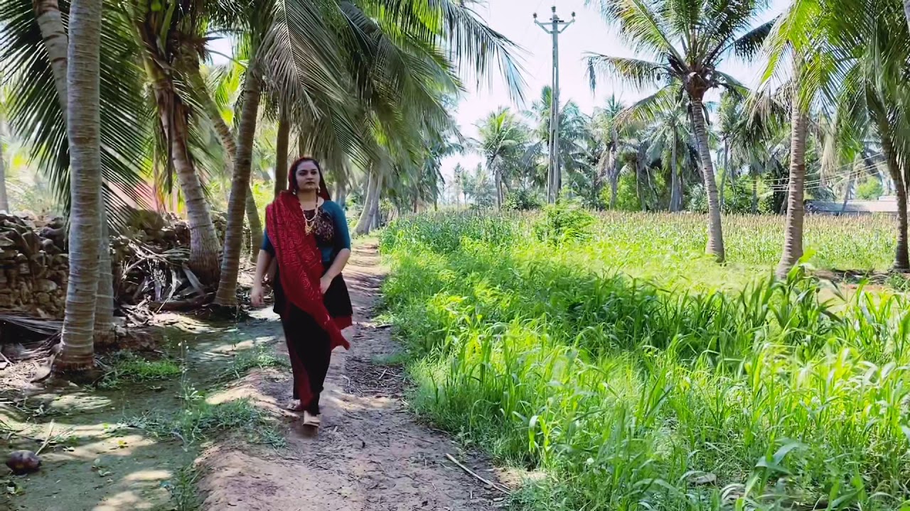 Gujarati Culture
