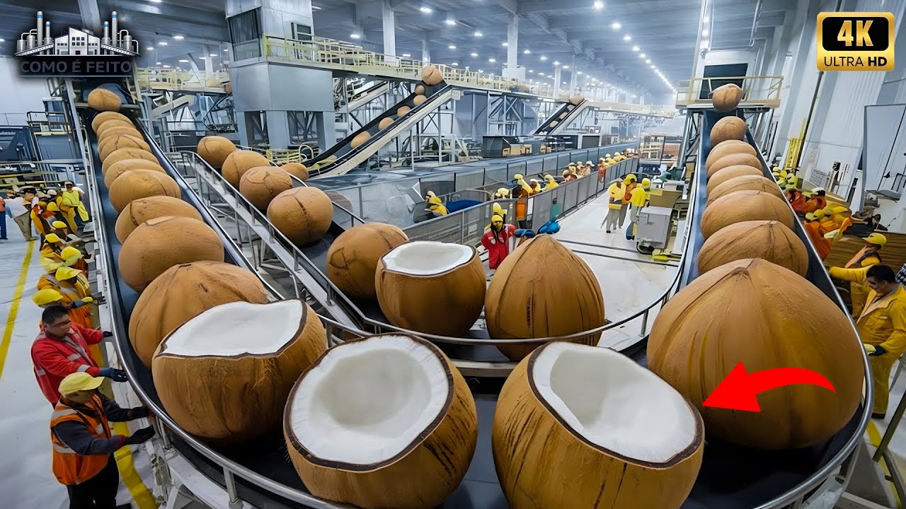 Você não imagina como a ÓLEO DE COCO é feito! O processo vai ter surpreender (Full)