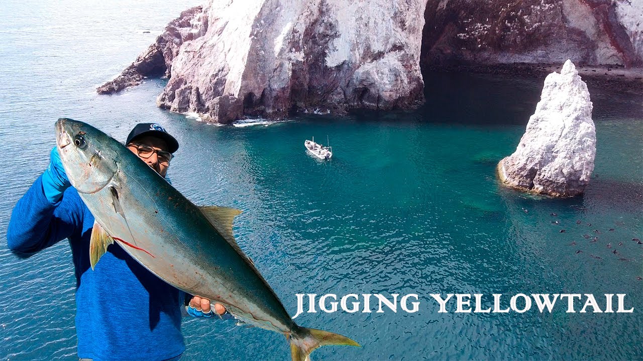 JIGGING || PESCA VERTICAL  || FARALLON DE SAN IGNACIO , TOPOLOBAMPO SINALOA .