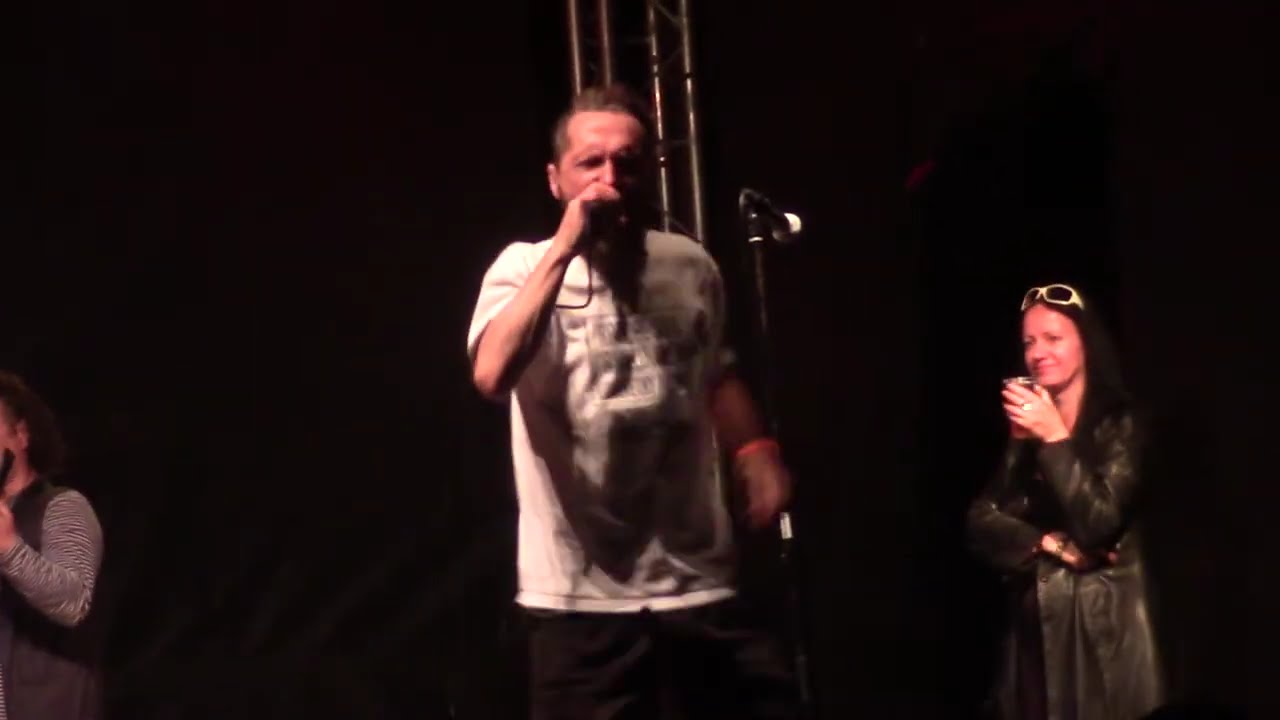 GaGa Zielone Żabki - Wojna (Hey Ho! Ramona Fest 2017 Trzciel) [HD]