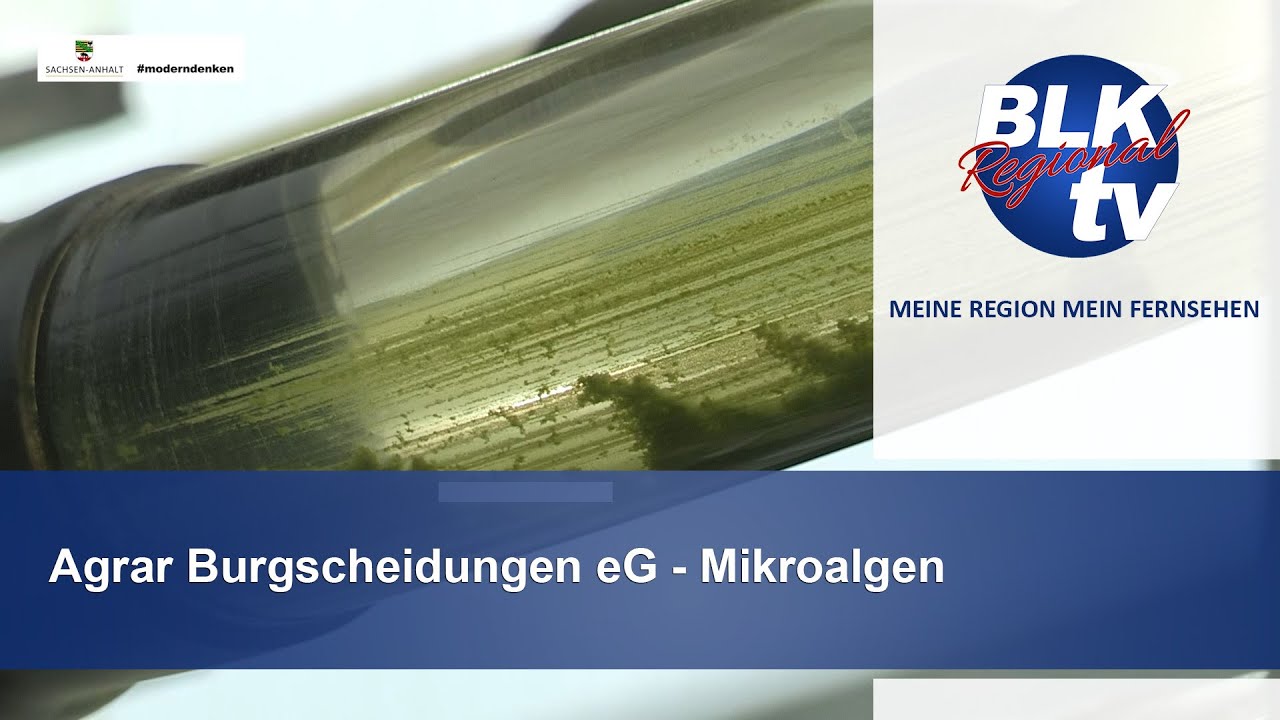 Agrar Burgscheidungen eG - Mikroalgen