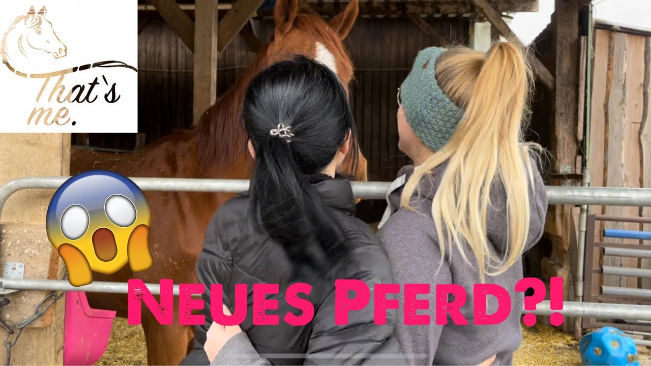 Erstes eigenes PFERD!! 🦄 | Shoppen im Krämer🛍️