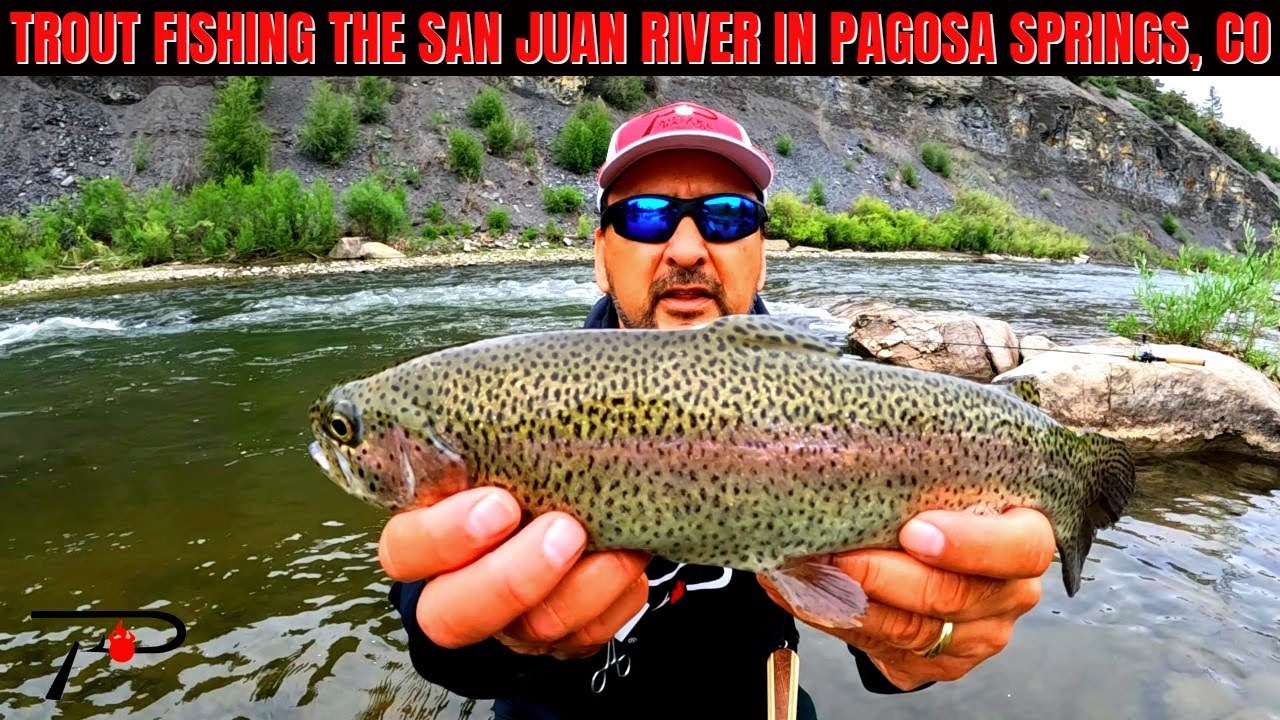Trout Fishing the San Juan River in Pagosa Springs