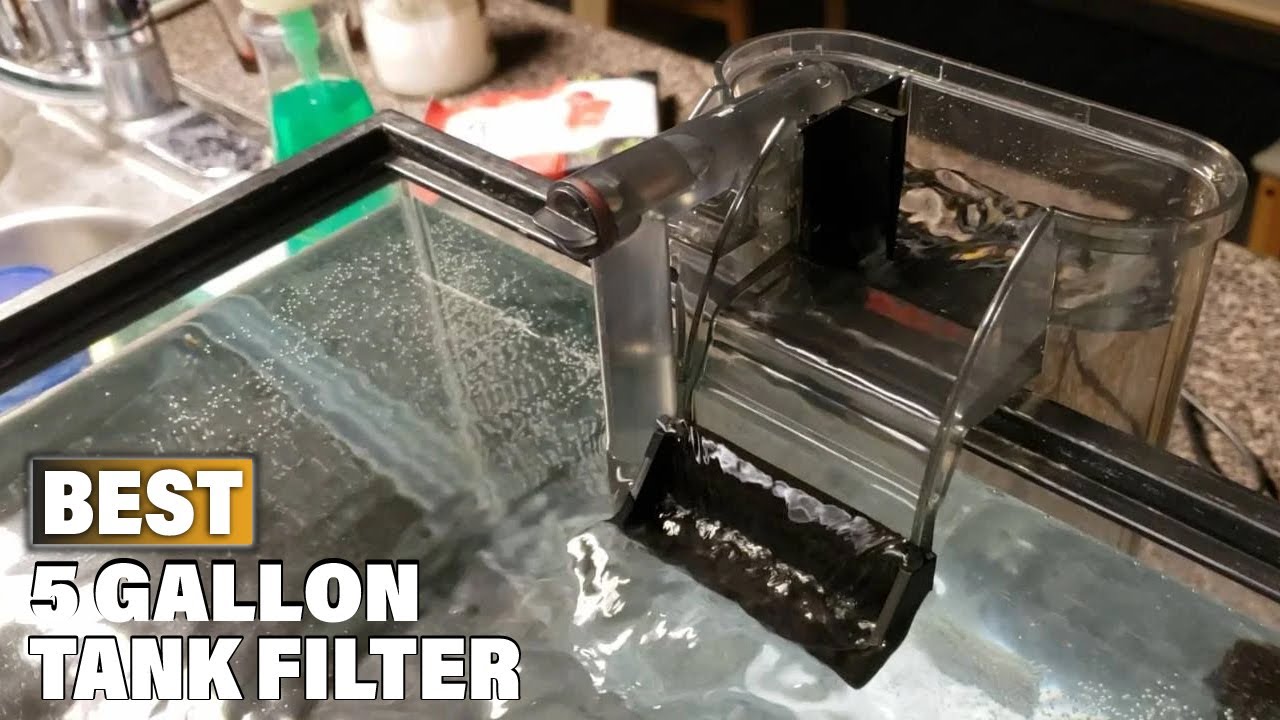 Top 10 Best Filter For 5 Gallon Tank On Amazon