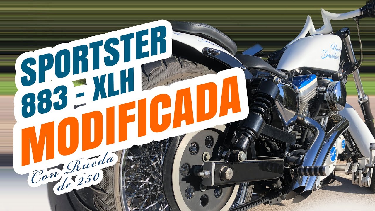Que pasada de Sportster 883 XLH con🔥rueda de 250🔥