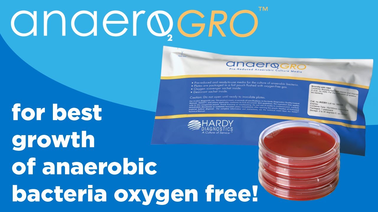 AnaeroGRO&trade; by Hardy Diagnostics for best growth of anaerobic bacteria oxygen free!