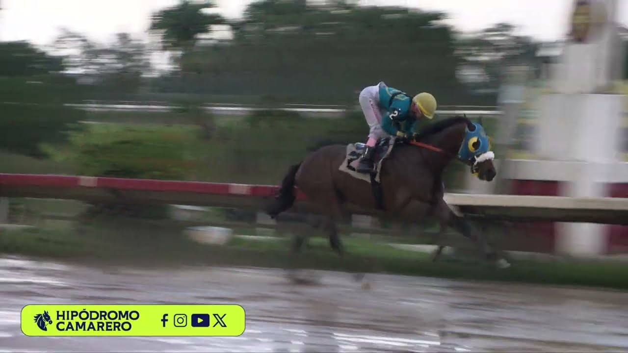 CARRERA 8 - 8/MARZO/2026 (WOODLANDER)
