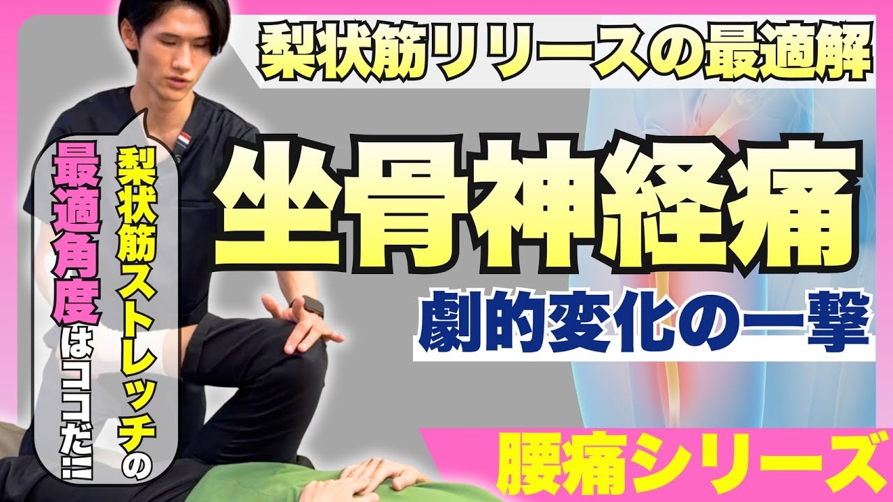 【坐骨神経痛】梨状筋が原因の坐骨神経痛を治そう！梨状筋施術で劇的変化を求める先生へ！梨状筋が原因の坐骨神経痛の根本原因を理解し梨状筋の評価からアプローチまでの全てを解説！#整体 #坐骨神経痛