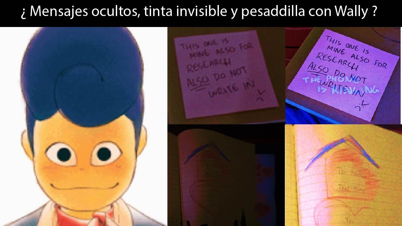 Analizando las imagenes del diario de WELCOME HOME parte 1