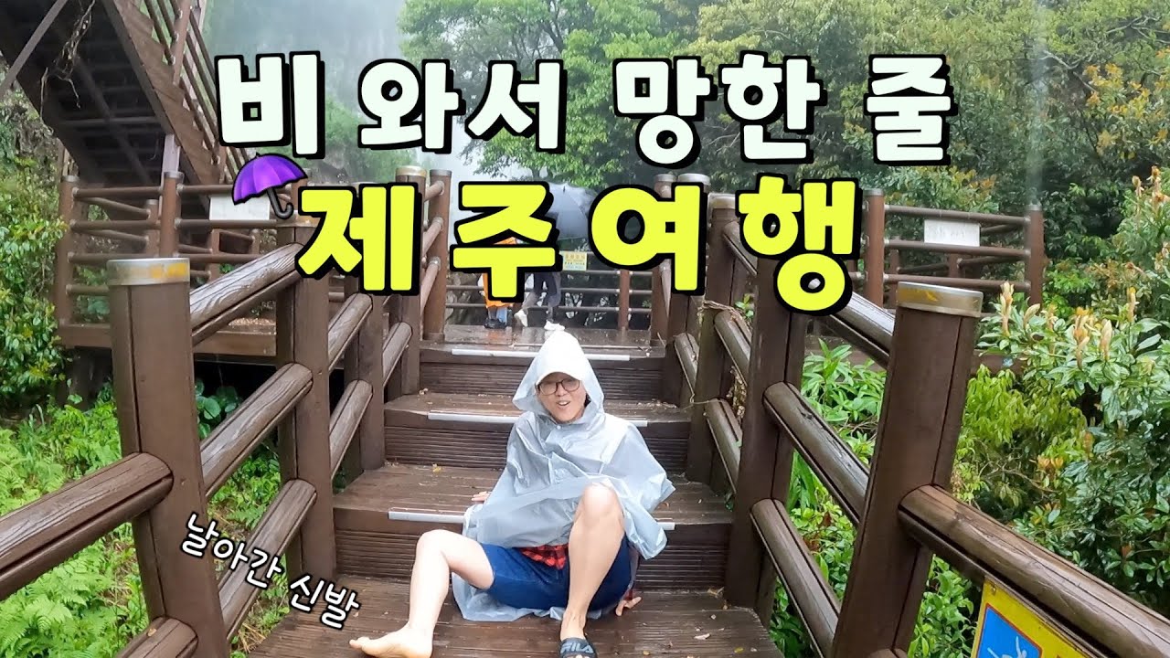 비오는 제주가 인생 여행이 되려면ㅣ사려니숲•엉또폭포•오설록 티 뮤지엄