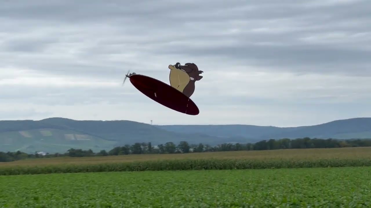 RC Planes Retro Slot Scheiben -  Flugtag 50 Jahre Hobby-Modellsport-Verein Vaihingen/Enz