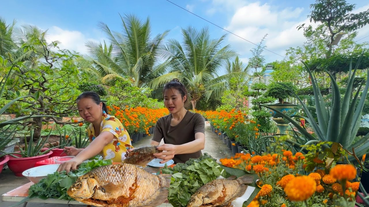 Cách Quyên TRỒNG HOA VẠN THỌ LÂU TÀN, NỞ BÔNG XUYÊN SUỐT 2 tháng. Buổi trưa ăn cá chiên ở vườn