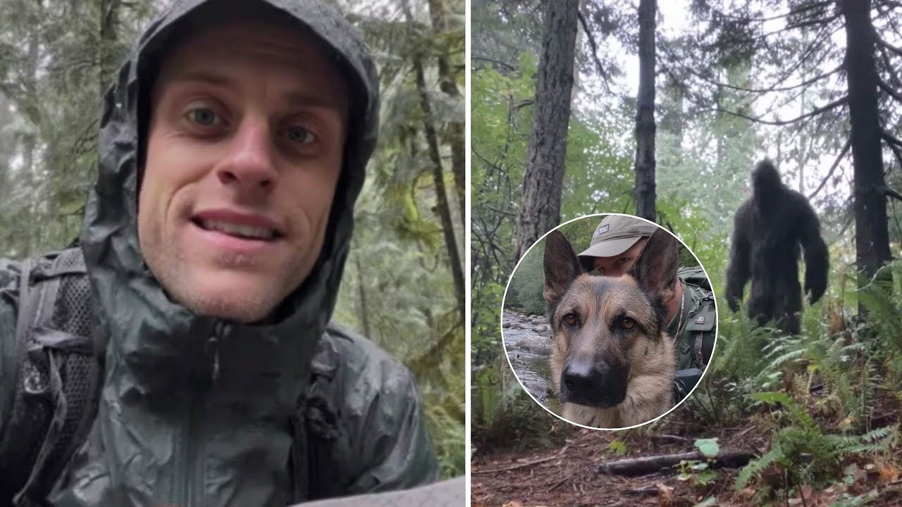 FÖRSTER verschwanden im Olympic Park — Suchhund weigerte sich KEIN MENSCHLICHER GERUCH