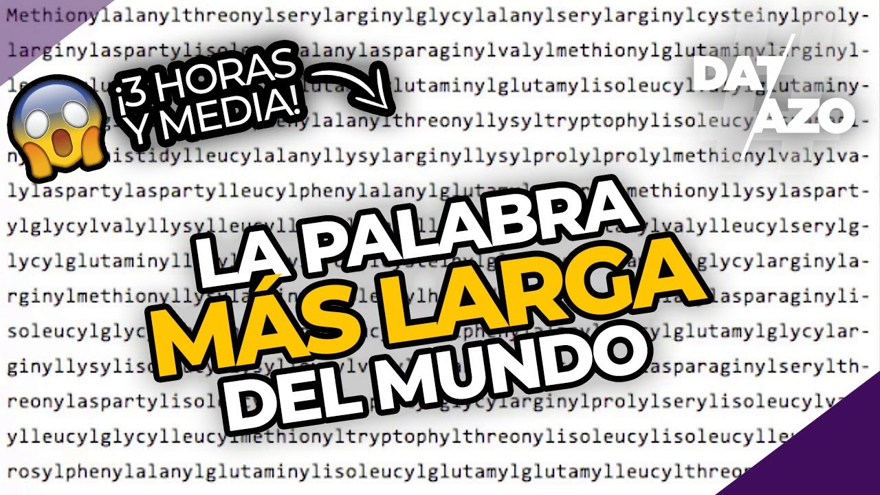 LA PALABRA MÁS LARGA DEL MUNDO (y la más larga en español) | #DATAZO