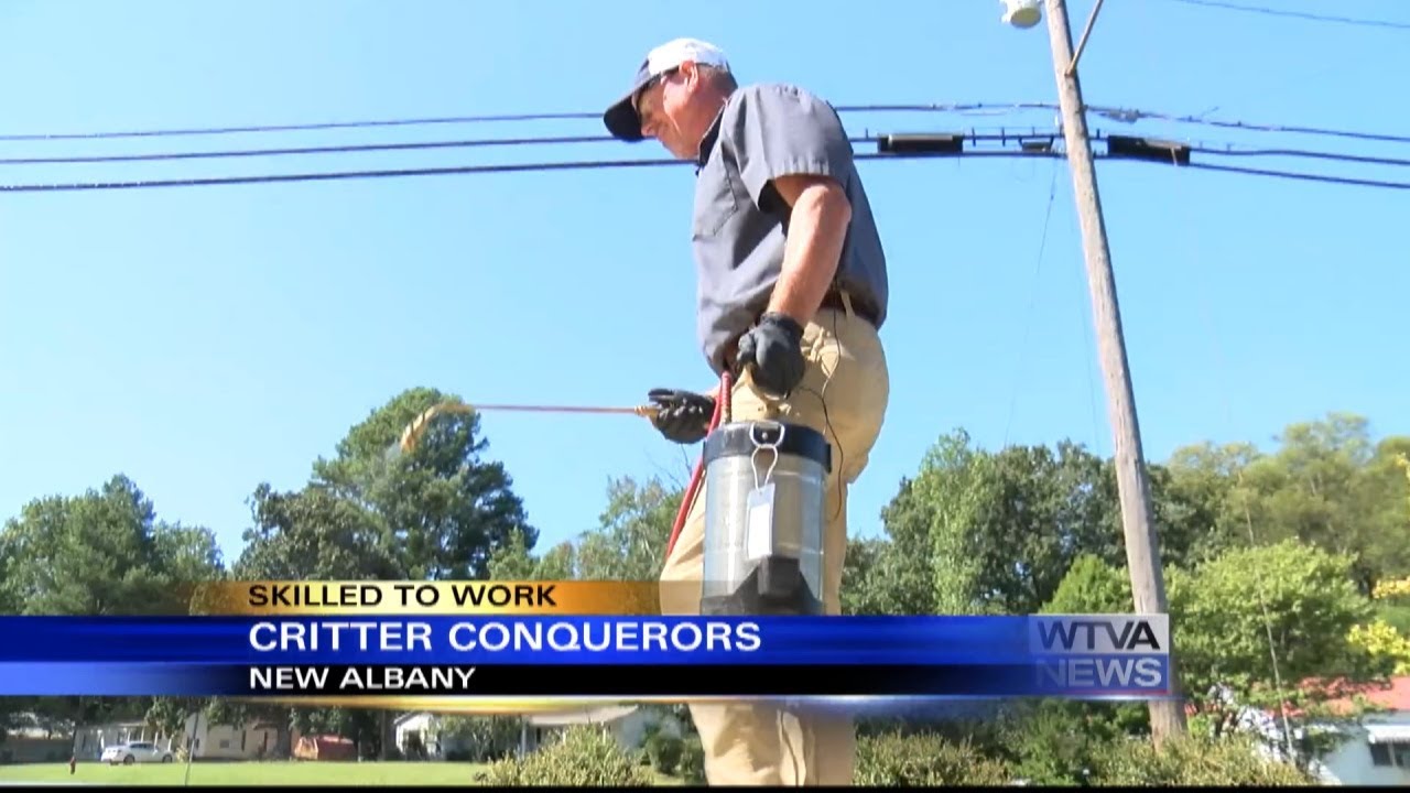 Skilled to Work: What it's like to be a pest technician