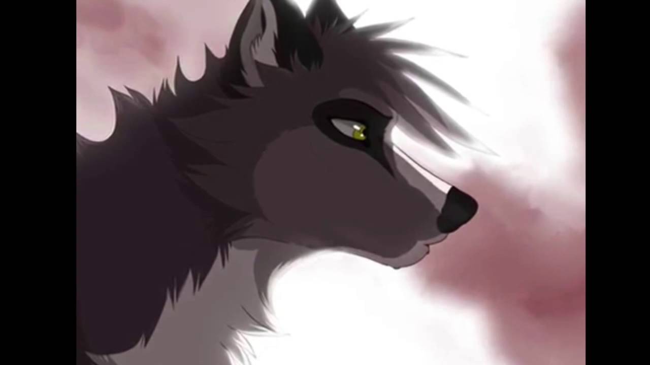 We are stars - Anime Wolves