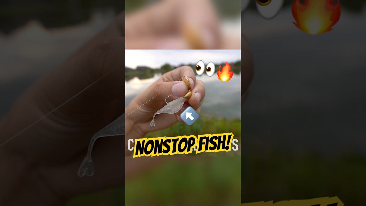 Эта крошечная приманка ВСЕГДА ловит рыбу 👀🔥 #рыбалка