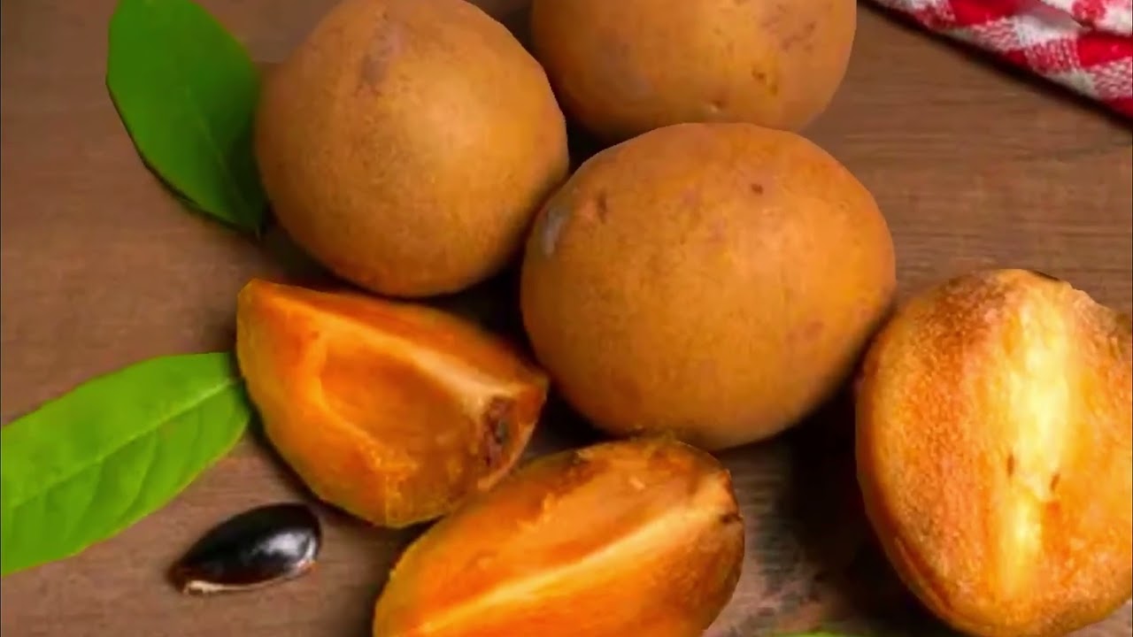 SAPOTILLE  Le fruit doux et myst&eacute;rieux &mdash; Origines, vertus, dangers et v&eacute;rit&eacute;s surprenantes
