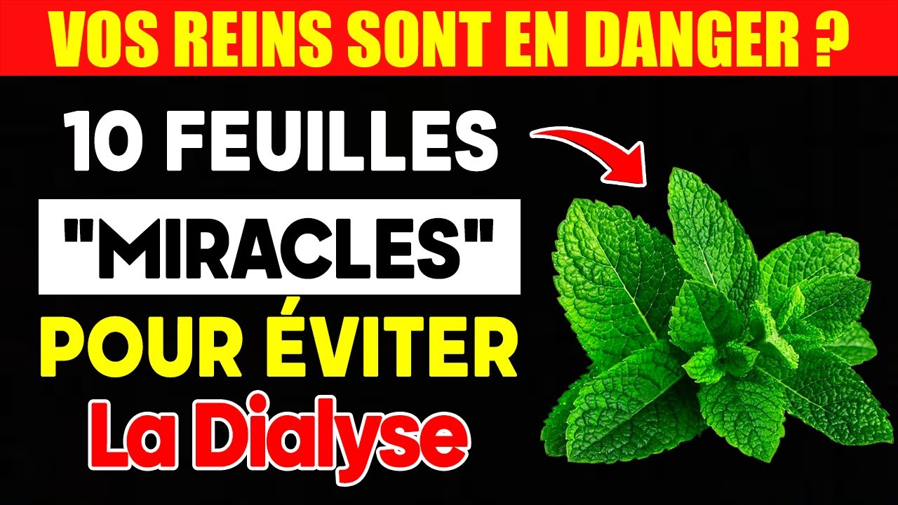 Reins Faibles ? Voici la Solution Naturelle pour les Nettoyer Rapidement!