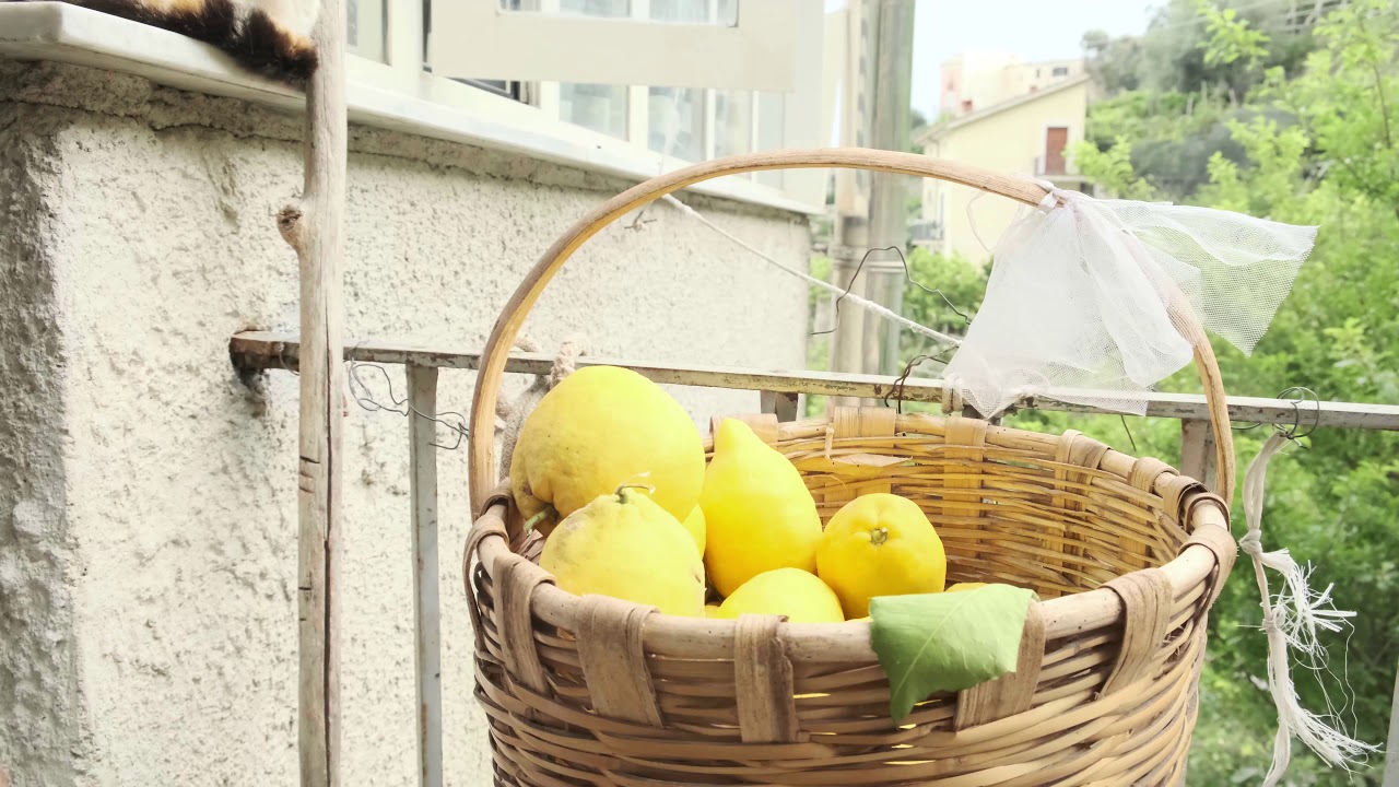 Il sentiero dei limoni da Minori, piccola anima bella della Costiera amalfitana&hellip;
