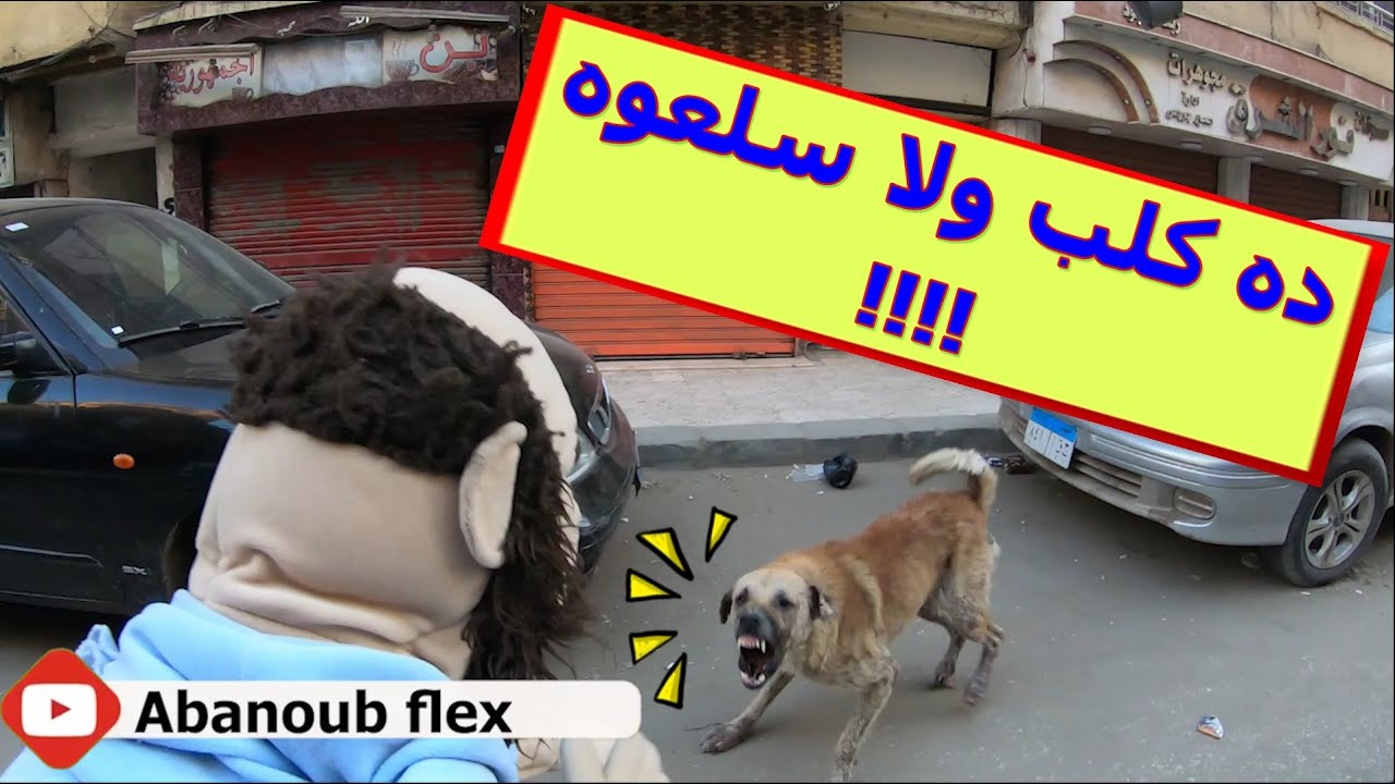 الجزء الخامس لولو شاف كائن غريب فى الشارع #رمضان_كريم