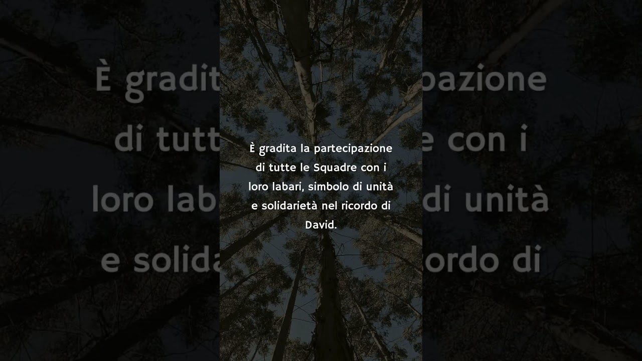 2024 02 10 David Bertrand AIB