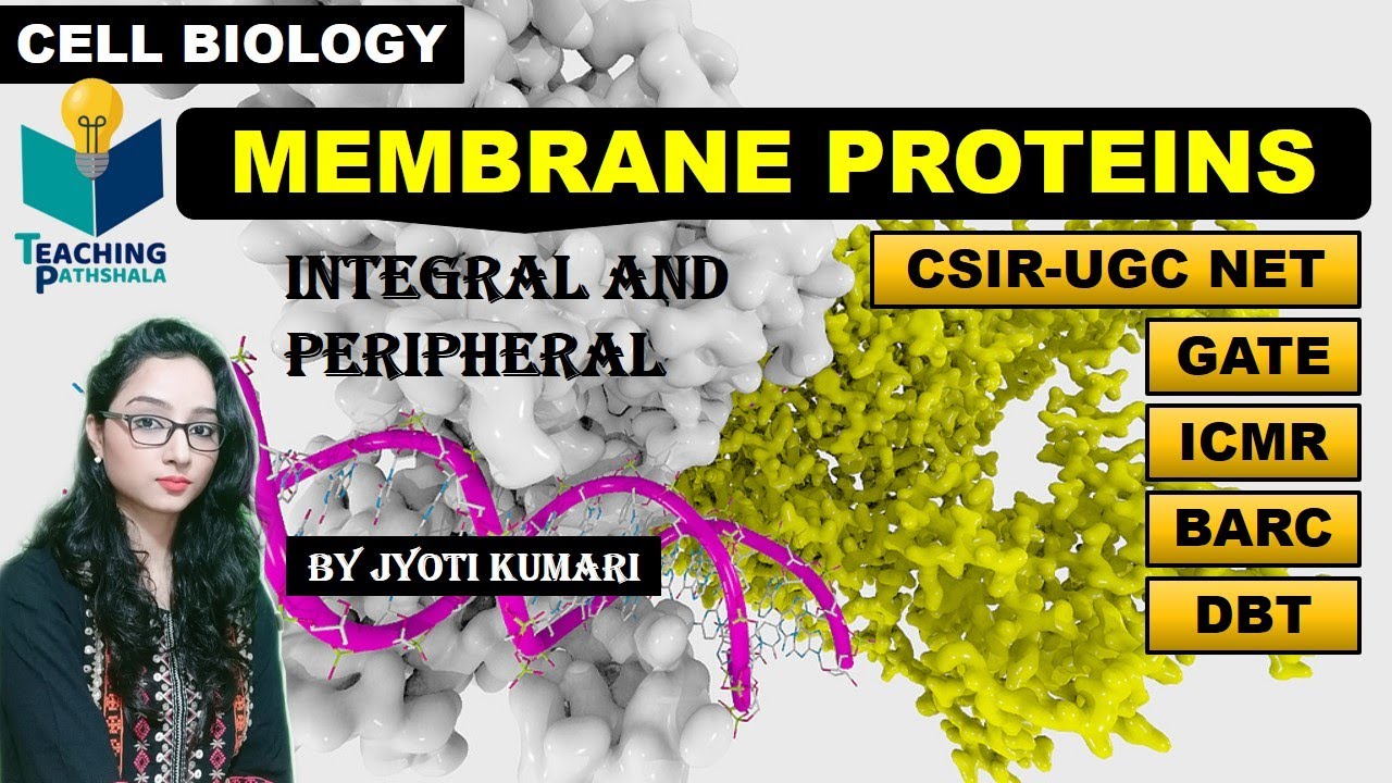 MEMBRANE PROTEINS || INTEGRAL AND PERIPHERAL PROTEIN || CELL BIOLOGY || CSIR NET|
