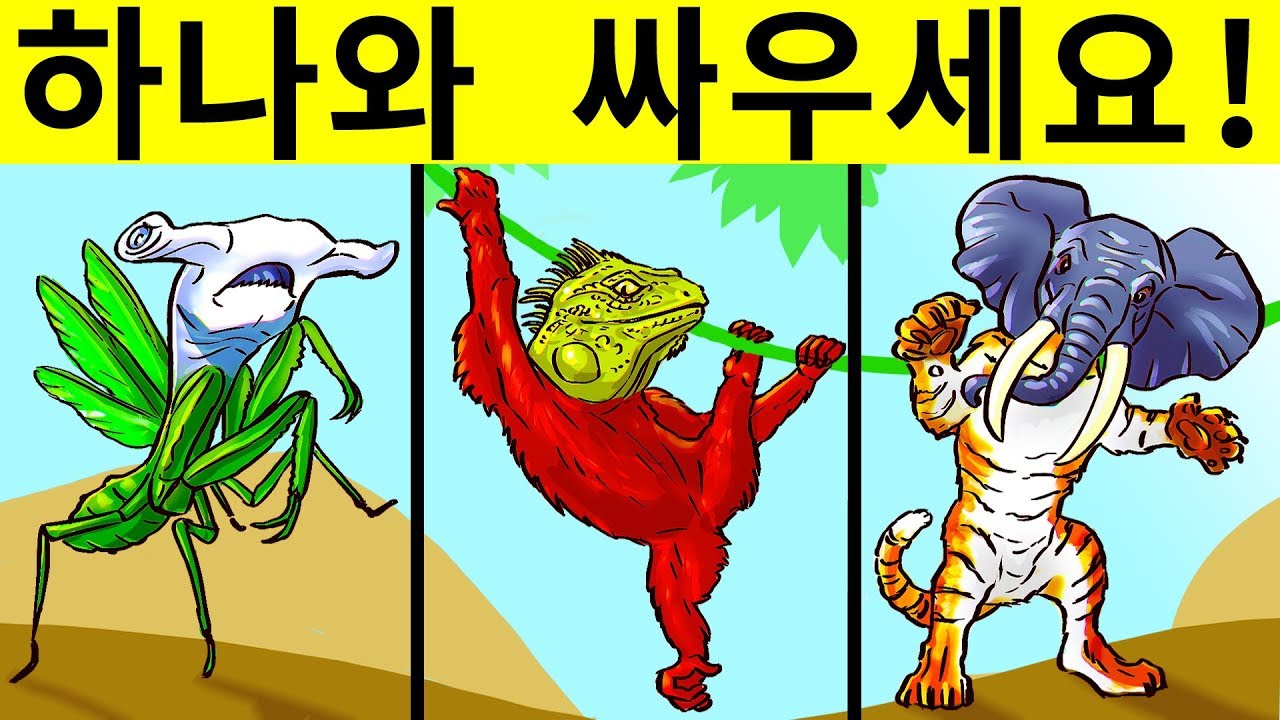 생존을 위해 풀어야 할 12가지 수수께끼