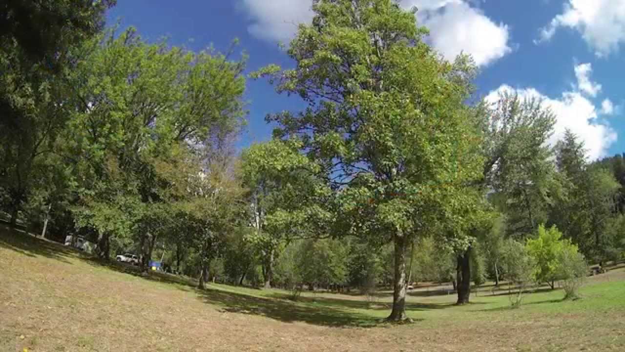 Mt Franklin Camp Area, Hepburn Regional Park, North of Daylesford, VIC