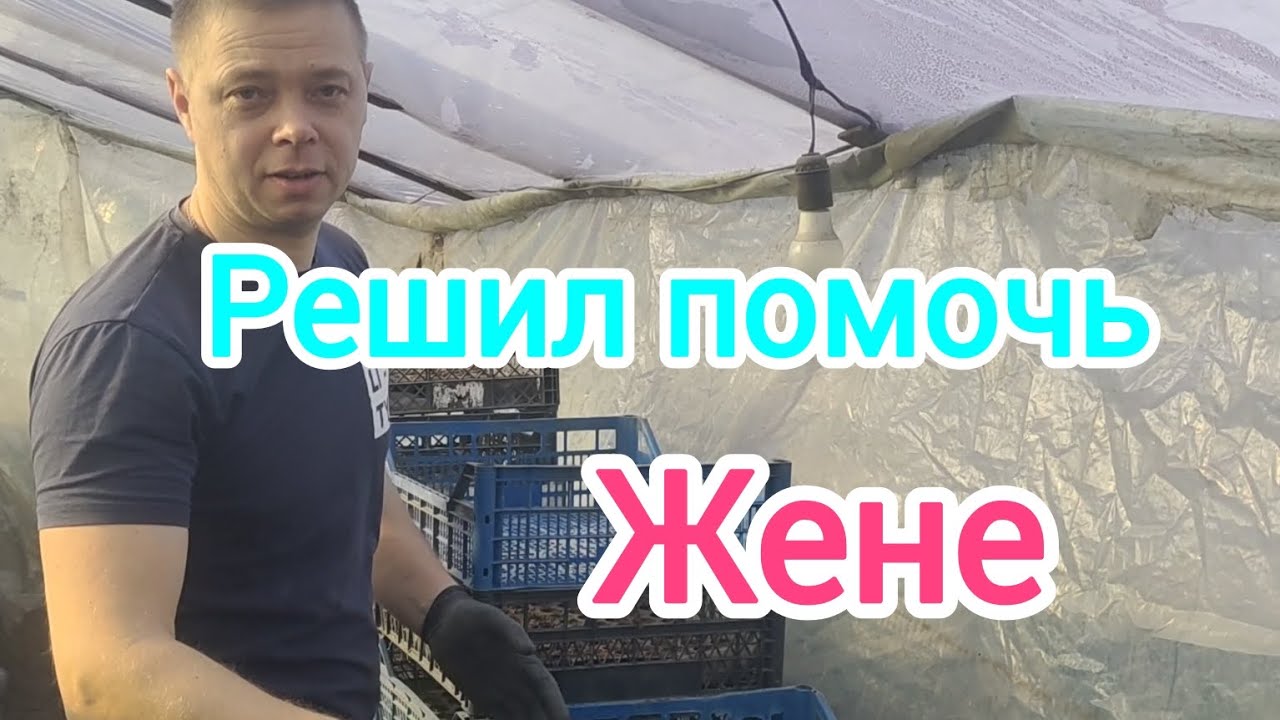 Инна попросила приготовить стаканчики для рассады