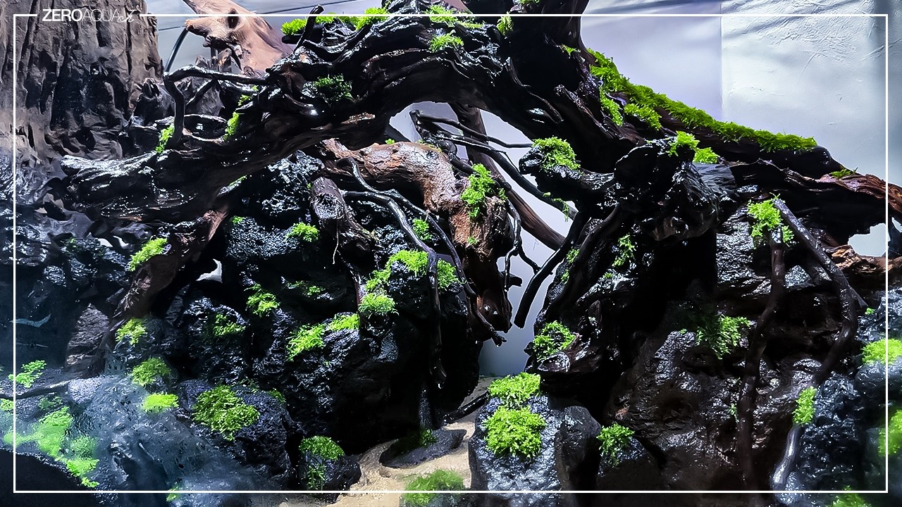 120cm水槽 ミスト式でウィーピングモスとキューバパールグラスを育て始めました　/aquascape/aquarium/120cm tank/vlog/