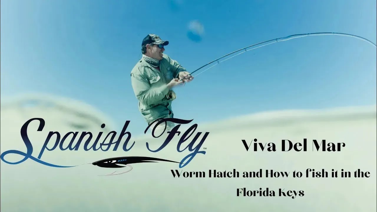 Spanish Fly Vida Del Mar Worm Hatch