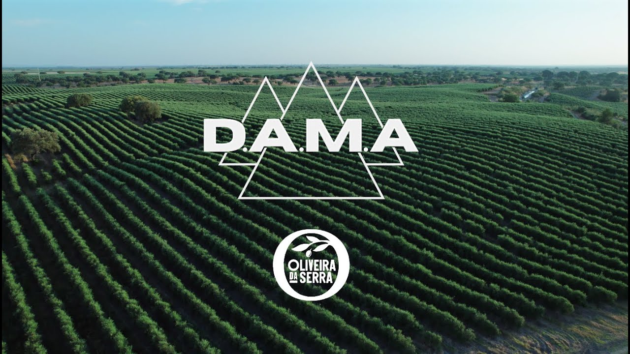 D.A.M.A | Oliveirinha da Serra