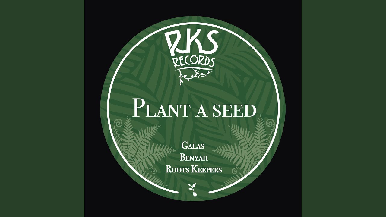 Plant a Seed
