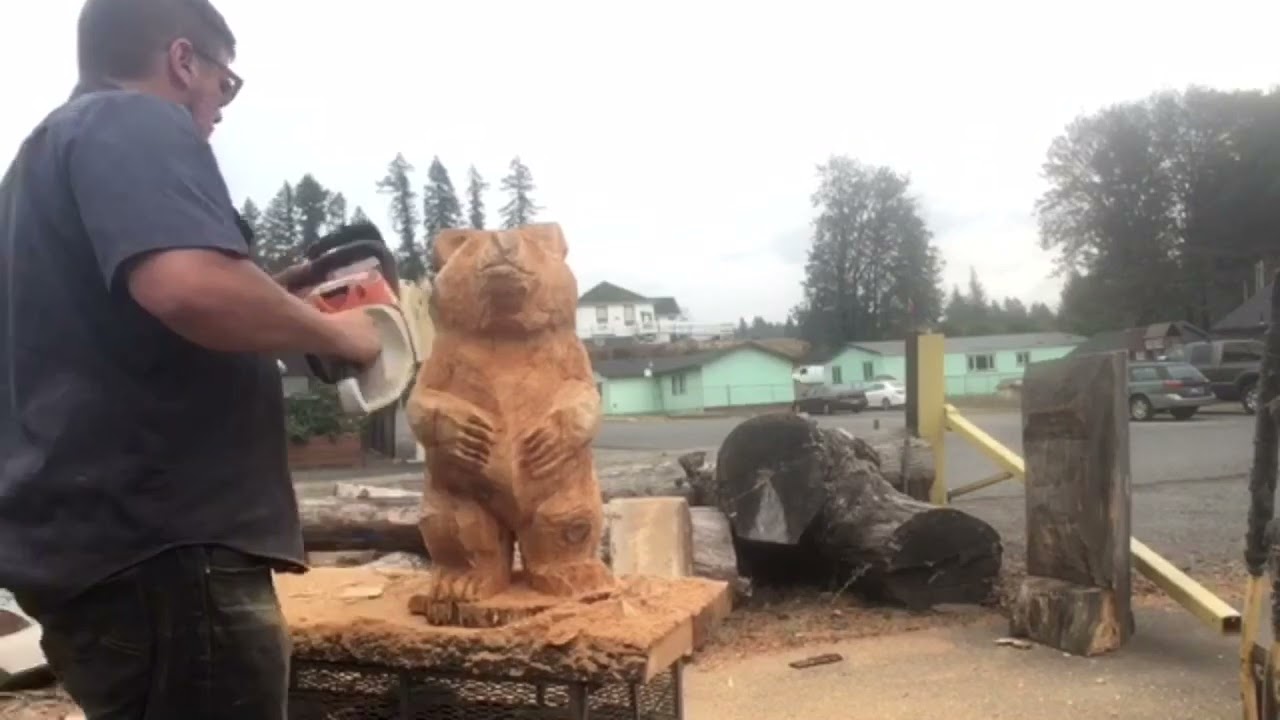 I found a Bear hiding in this log!