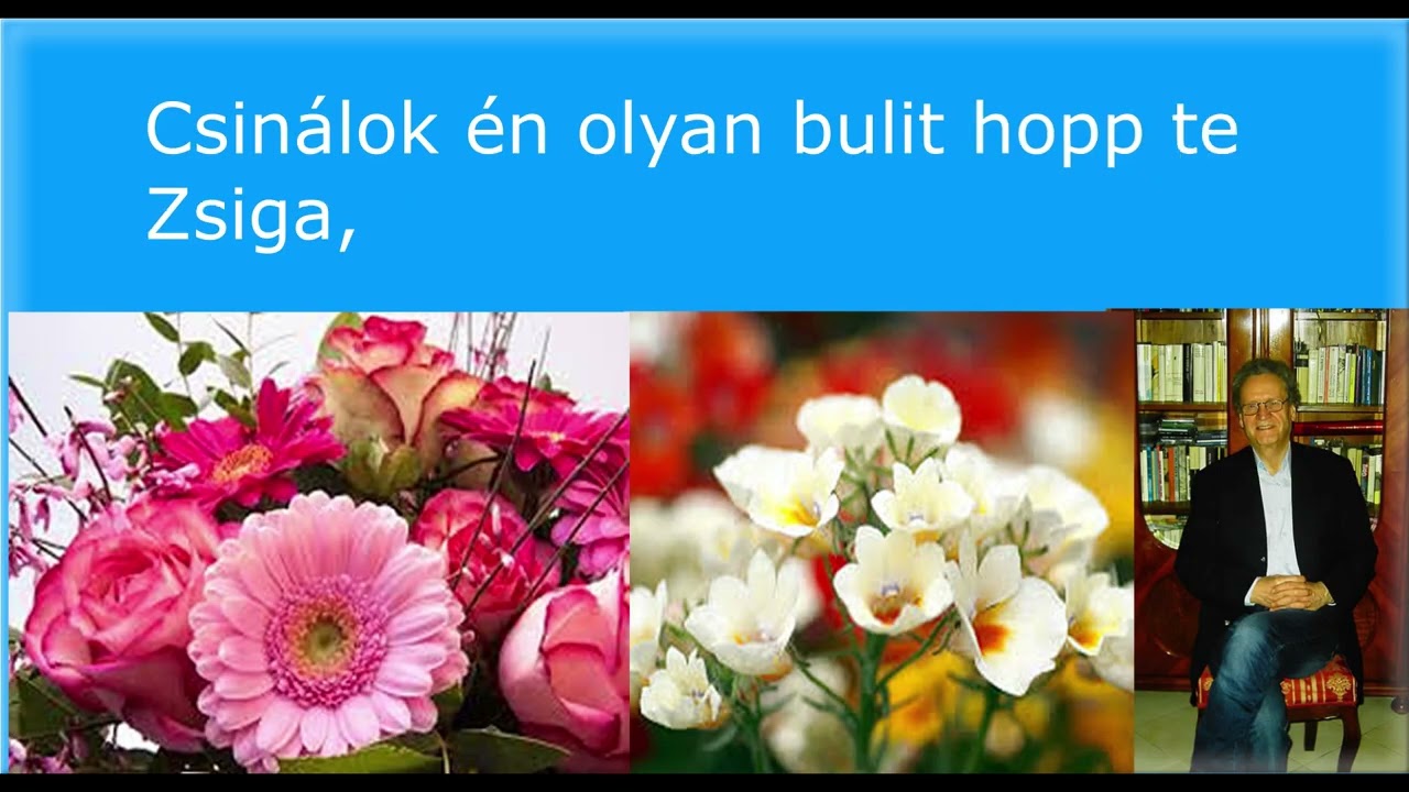 Nem kell nékem a pogácsa Karaoke