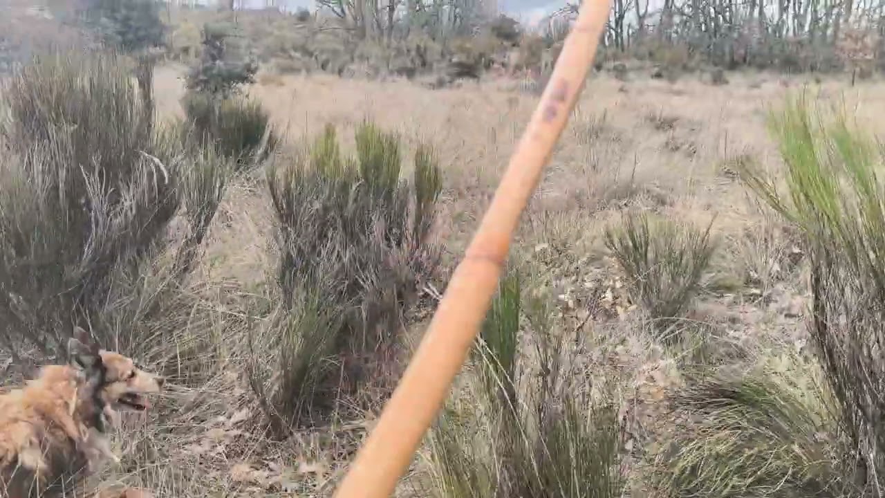 Es una hoja movida por el viento 🧐🧐🧐