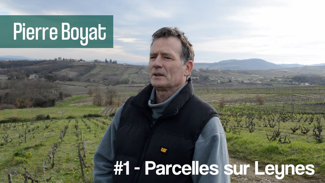 Pierre Boyat - Différentes parcelles sur Leynes