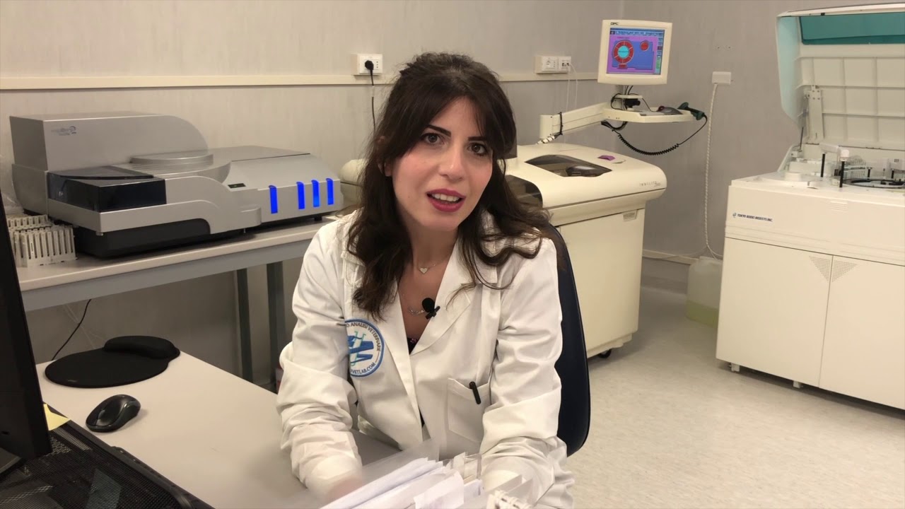 IL SISTEMA DI QUALITA': Qualità tecnica e sistema qualità in laboratorio
