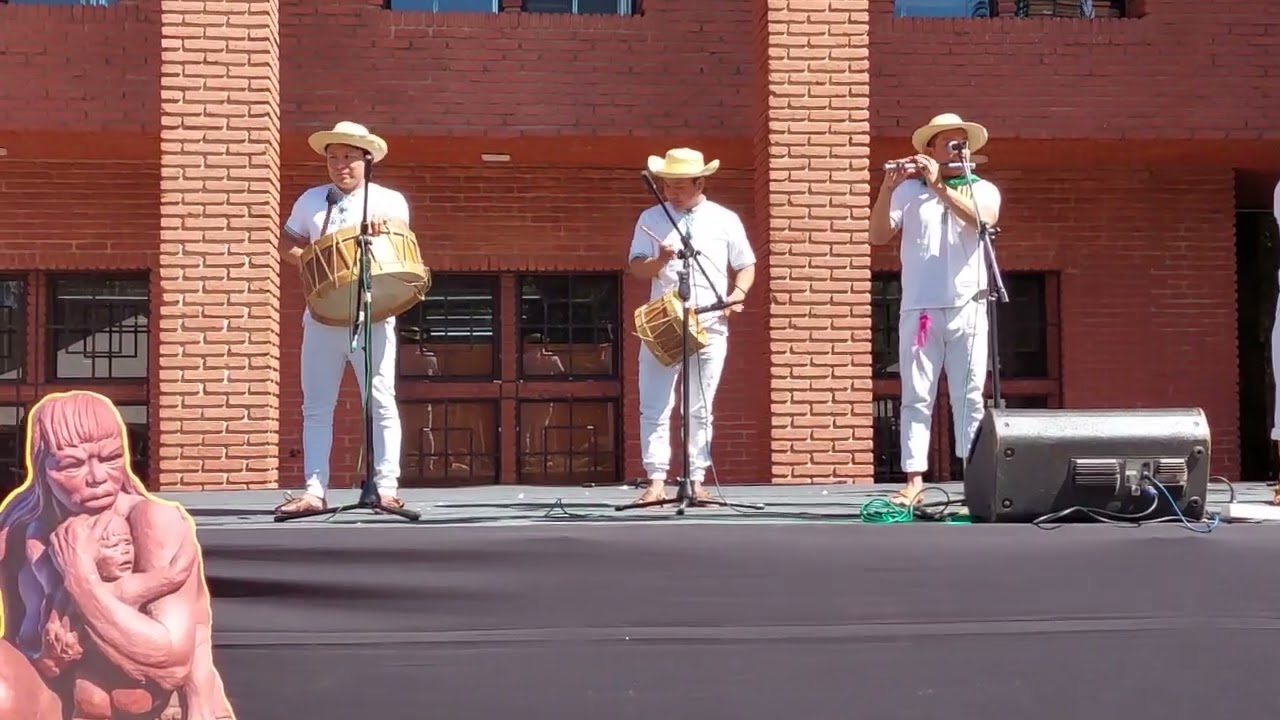 Tamborita Los  Primos Cel: 77162454 - 73669154