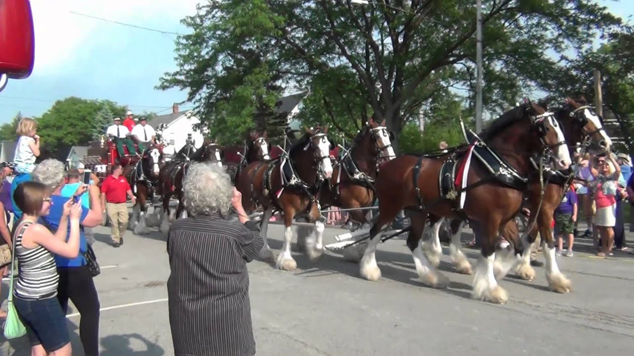 KEITH KUHN BUDWEISER CLYDESDALES