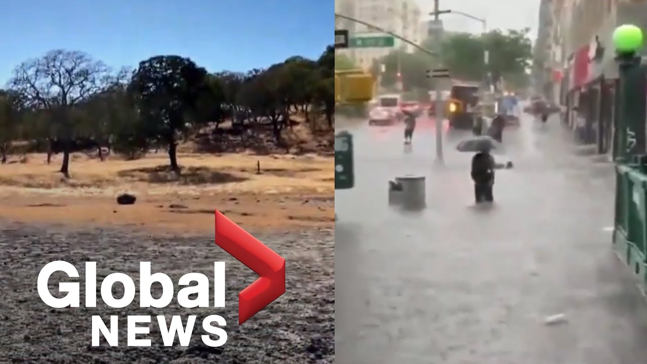 Extreme weather in US, Canada: Elsa batters East Coast as heat wave roasts the west