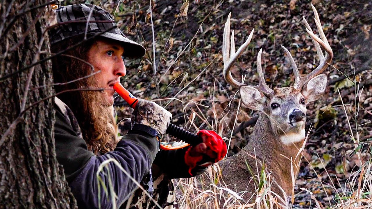 3 главные ошибки при подзыве оленей!